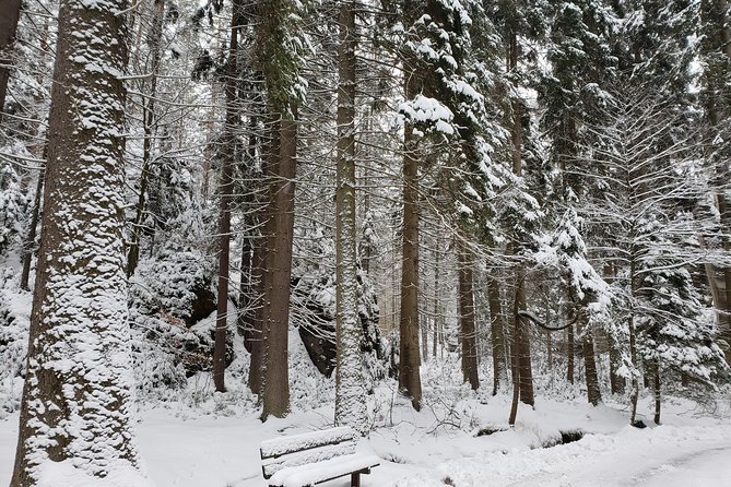 Adrspach Teplice Rocks Filming Site of The Chronicles of Narnia - What to pack and bring: shoes, passport, and weather reality