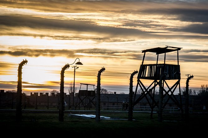 Auschwitz Birkenau and Salt Mine Full Day Guided Tour from Krakow hotel pick up - Birkenau’s tone and the headphones effect, why timing matters