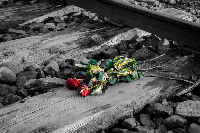 Auschwitz Birkenau and Salt Mine Full Day Guided Tour from Krakow hotel pick up - Transport, Wi-Fi, and the small-group promise, what you are actually paying for