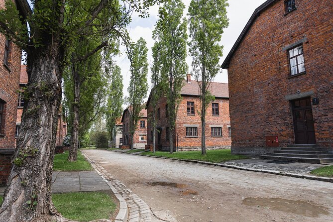 Auschwitz Birkenau and Wieliczka Salt Mine Day Tour from Krakow - The real value of paying about $178