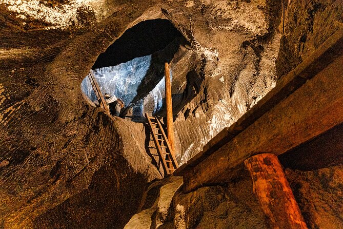 Auschwitz Birkenau and Wieliczka Salt Mine Day Tour from Krakow - Practical tips to make your day smoother
