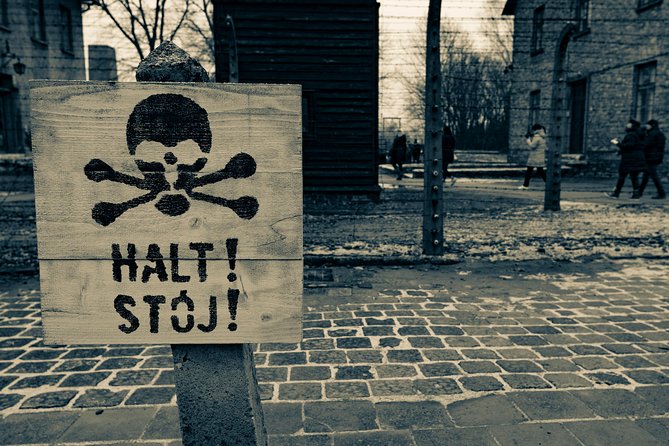 Auschwitz-Birkenau and Wieliczka Salt Mine Day Tour from Krakow with private car - Who This Tour Suits Best