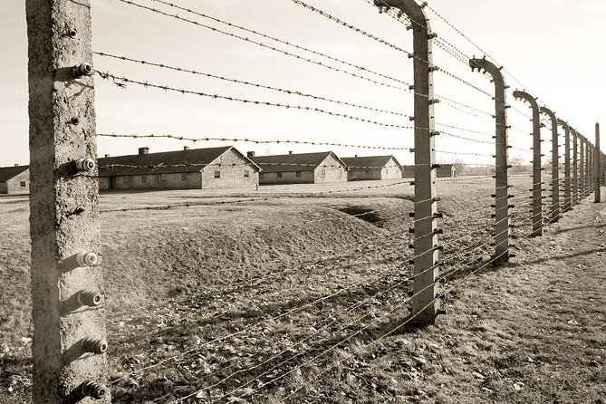 Auschwitz- Birkenau and Wieliczka Salt Mine in One Day - Who this Auschwitz and Wieliczka one-day tour fits best