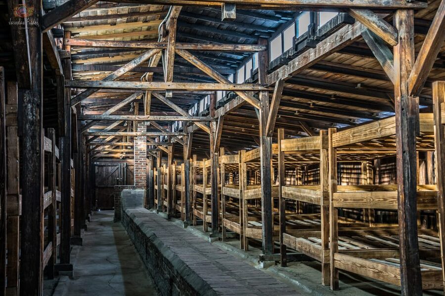 Auschwitz-Birkenau: Guided Tour and Skip-The-Line Ticket - Why a Licensed Guide Changes the Day