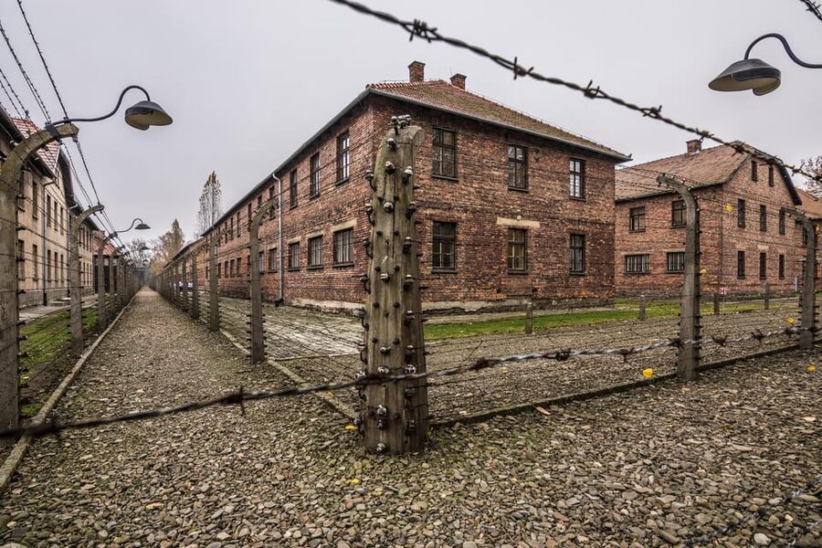 Auschwitz-Birkenau: Guided Tour and Skip-The-Line Ticket - The Timing Window and Meeting Points That Matter