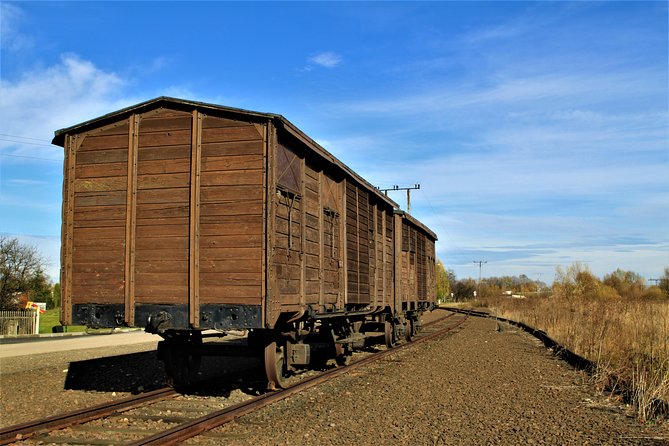 Auschwitz-Birkenau Guided Tour by Private Transport from Krakow - Pickup windows, ride options, and how the schedule really works
