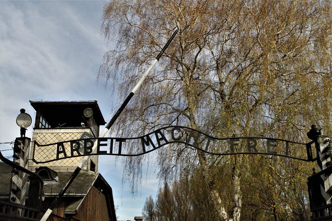 Auschwitz-Birkenau Guided Tour by Private Transport from Krakow - Birkenau scale at Auschwitz II: why 1 hour can still hit hard