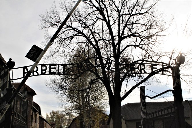 Auschwitz-Birkenau Guided Tour by Private Transport from Krakow - What you pay for: $180.57 value, and where the expense actually goes