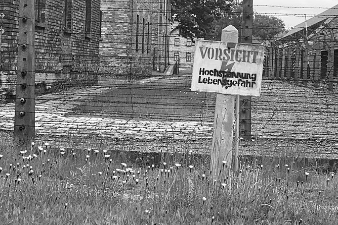 Auschwitz-Birkenau guided tour from Krakow - private car - What to expect on the day: smooth transitions, no included meals