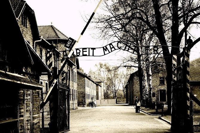 Auschwitz-Birkenau guided tour & skip the line Tickets & Transfer - Birkenau for about 1 hour: open space, long walking, and why pace matters
