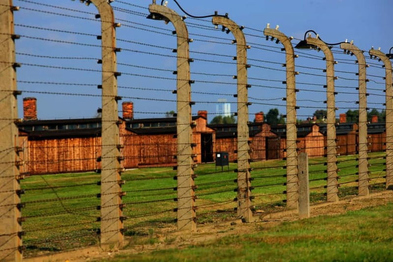Auschwitz-Birkenau: Guided Tour - Ticket + Transportation - Who this tour suits best, and who should reconsider