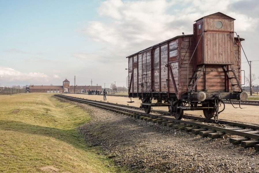 Auschwitz-Birkenau Guided Tour & Transfer from Krakow - Skip-the-line entry: what it actually buys you