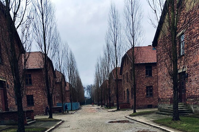 Auschwitz-Birkenau Guided Tour with Private Transport from Krakow - Should You Book This Tour or Choose Another Option?