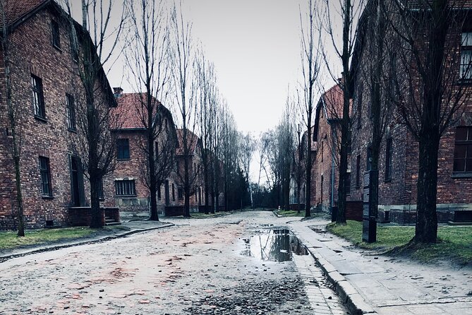 Auschwitz-Birkenau Guided Tour with Private Transport from Krakow - Stop 1: Auschwitz-Birkenau in Context, Not Just a Checklist