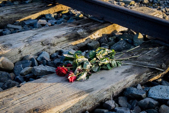 Auschwitz Birkenau Guided Tour with Ticket Hotel Pickup Small Van - English guide inside the camps, what you should look for