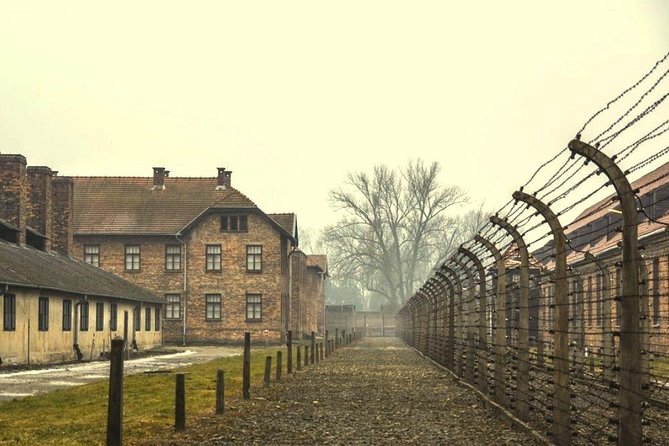 Auschwitz Birkenau Memorial and Museum group tour from Krakow - What to bring: ID/passport and the tight bag size limit