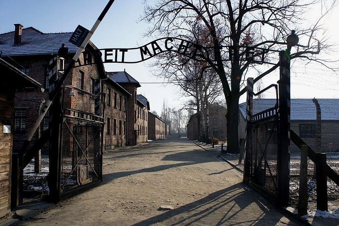 Auschwitz Birkenau Memorial and Museum group tour from Krakow - Group size, pacing, and breaks that keep you functioning