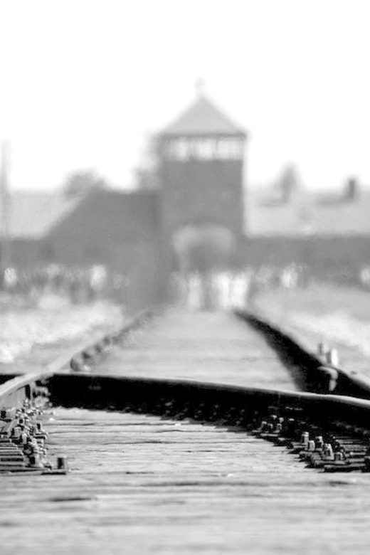 Auschwitz-Birkenau: Memorial Entry Ticket and Guided Tour - Skip-the-line tickets and headsets, why this format is better than DIY