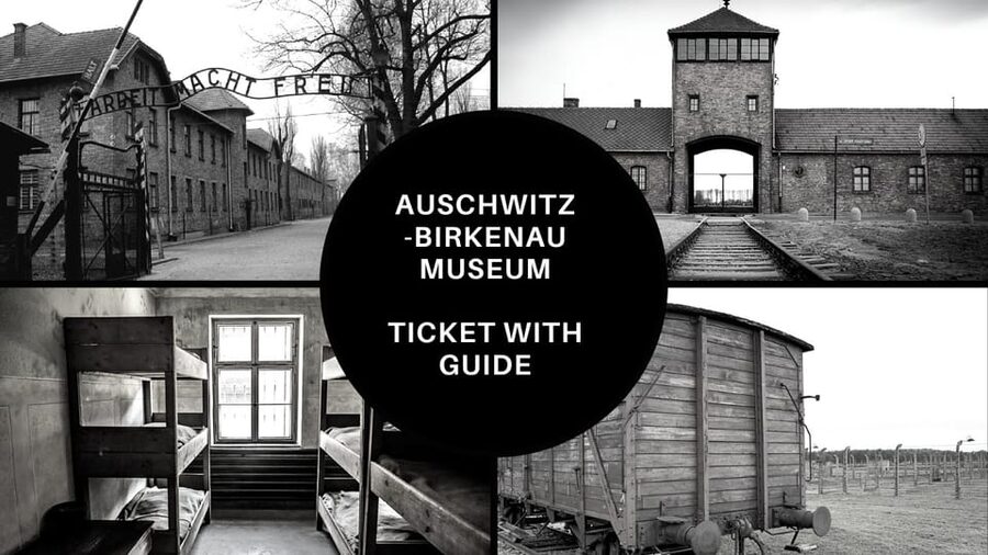 Auschwitz-Birkenau: Memorial Entry Ticket and Guided Tour - What you can realistically expect to absorb, without rushing