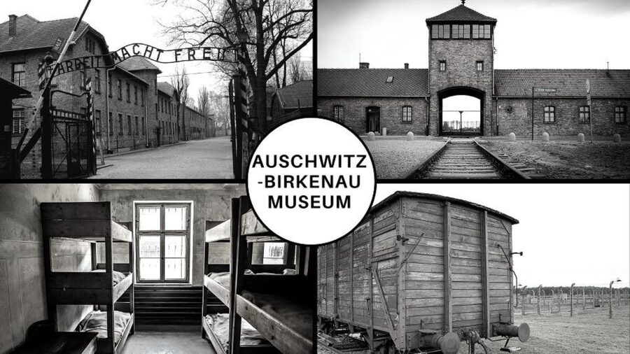 Auschwitz-Birkenau: Museum Entry Ticket with Guided Tour - The 30-Minute Free Time That Actually Helps