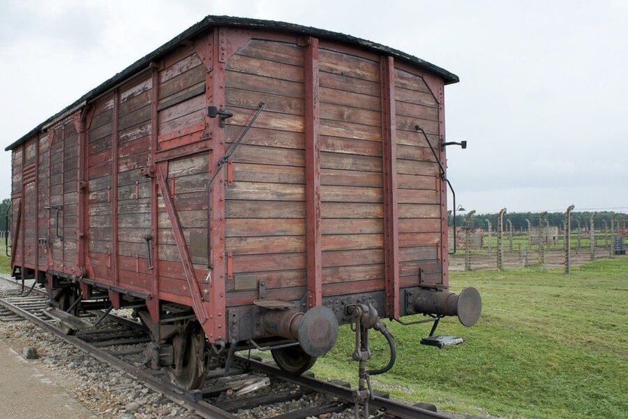 Auschwitz-Birkenau: Museum Entry Ticket with Guided Tour - What You Will Actually See: Gate, Barracks, and the Railway Platform Area