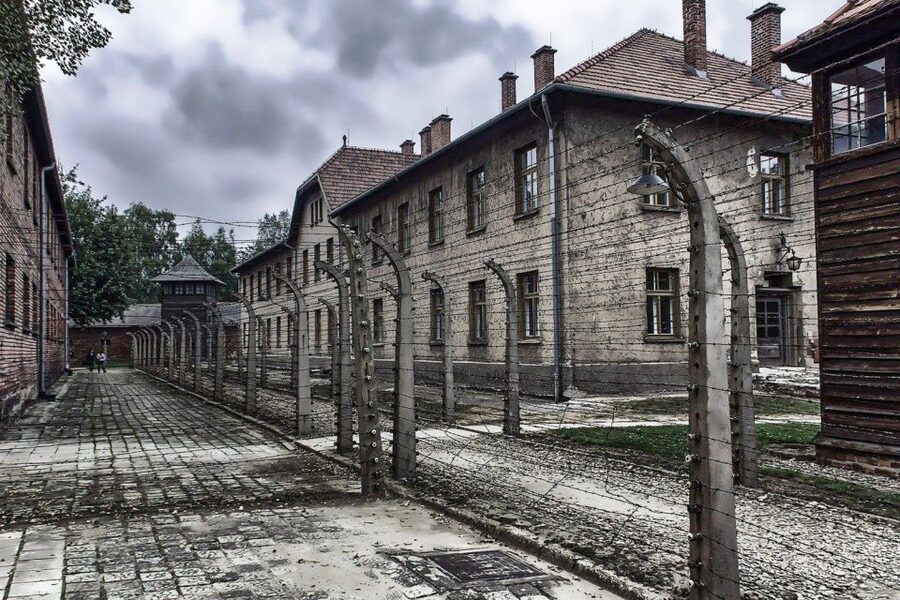 Auschwitz-Birkenau: Museum Entry Ticket with Guided Tour - Price and Value: Is $52 Good for Auschwitz?