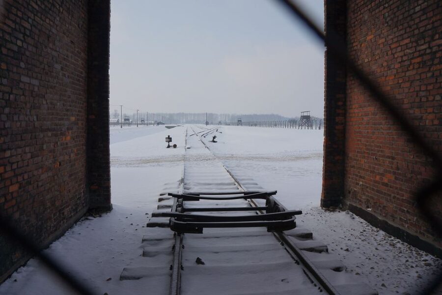 Auschwitz-Birkenau: Museum Entry Ticket with Guided Tour - Who This Guided Tour Suits Best