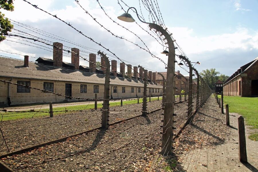 Auschwitz-Birkenau Private Tour from Katowice & Transport - Food and comfort: no lunch break, remote site