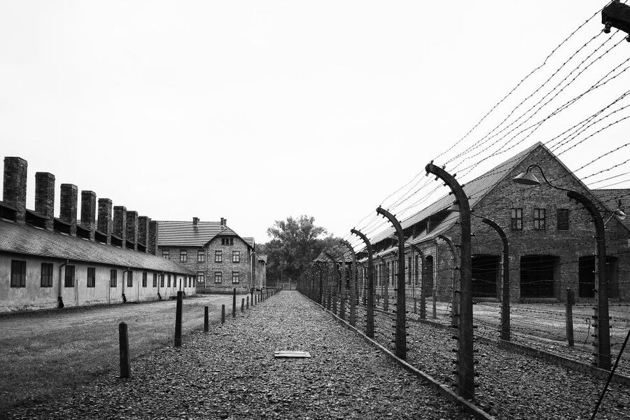 Auschwitz-Birkenau Private Tour from Katowice & Transport - Who this tour fits best, and who should reconsider
