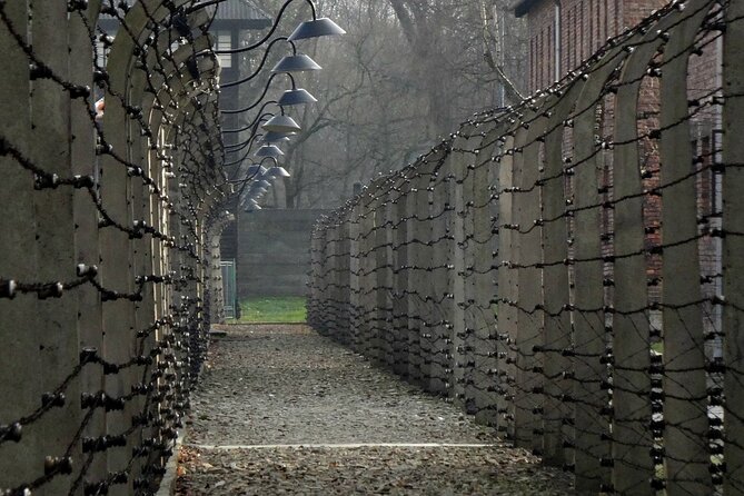 Auschwitz-Birkenau Private Tour from Krakow - Private Krakow Pickup and a Vehicle for Just Your Group