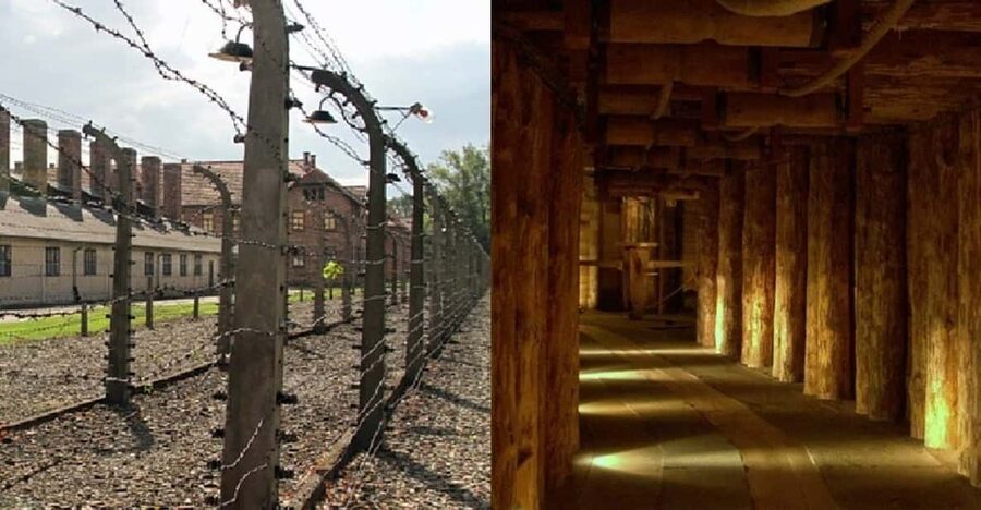 Auschwitz-Birkenau & Salt Mine Tour in One Day from Krakow - A real-world pace at Auschwitz-Birkenau and Birkenau