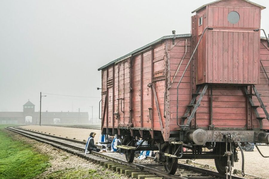 Auschwitz-Birkenau: Skip-the-Line Entry Ticket & Guided Tour - Key things that make this tour worth your money