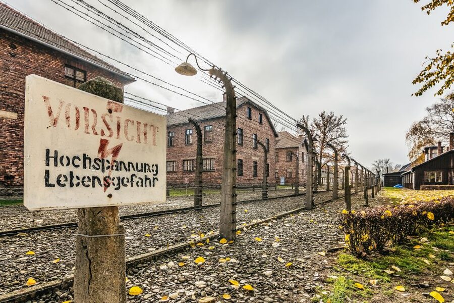 Auschwitz-Birkenau: Skip-the-Line Entry Ticket & Guided Tour - Auschwitz I: The Main Gate, Barracks, and What You Learn First