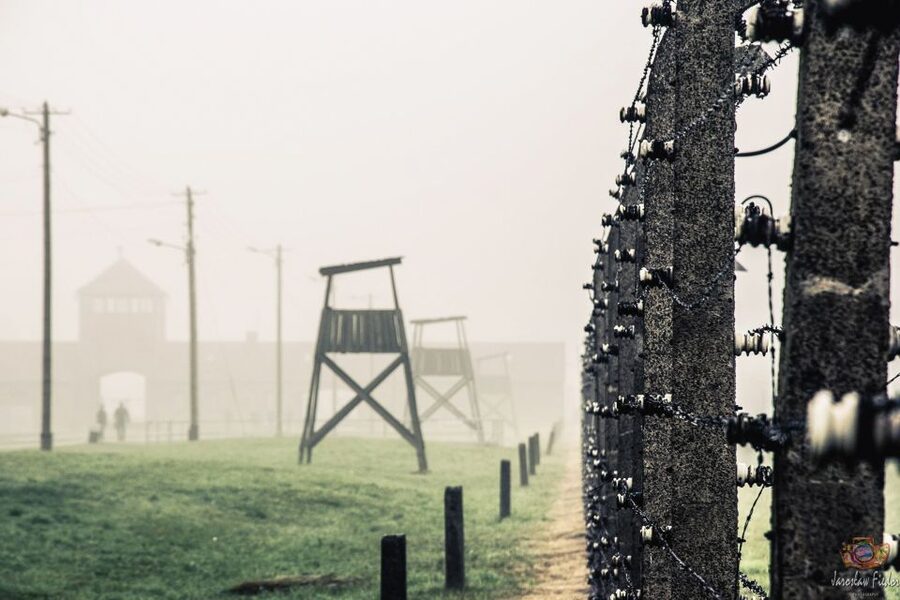 Auschwitz-Birkenau: Skip-the-Line Entry Ticket & Guided Tour - Timing, Pace, and Headsets in 225 Minutes