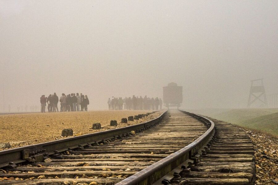 Auschwitz-Birkenau: Skip-the-Line Entry Ticket & Guided Tour - Price and Value for a Museum-Guided Experience at About $21