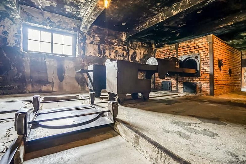 Auschwitz-Birkenau Skip-the-Line Guided Tour - Why skip-the-line matters at Auschwitz-Birkenau