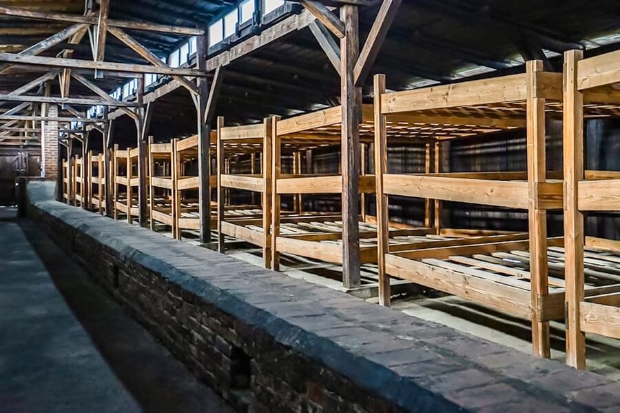 Auschwitz-Birkenau Skip-the-Line Guided Tour - Price and value: what you are paying for
