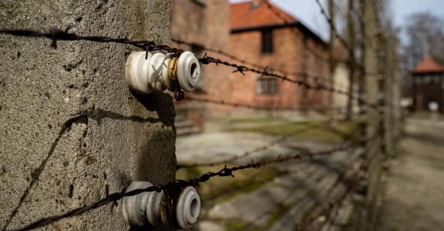 Auschwitz-Birkenau: Skip-the-Line Ticket and Guided Tour - Key things that make this Auschwitz tour work