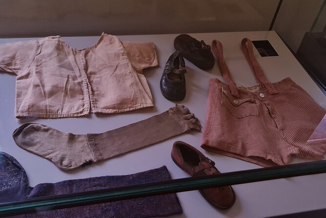 Auschwitz Birkenau tour from Krakow - Watch-outs: ticket suspension, weather, and mental prep