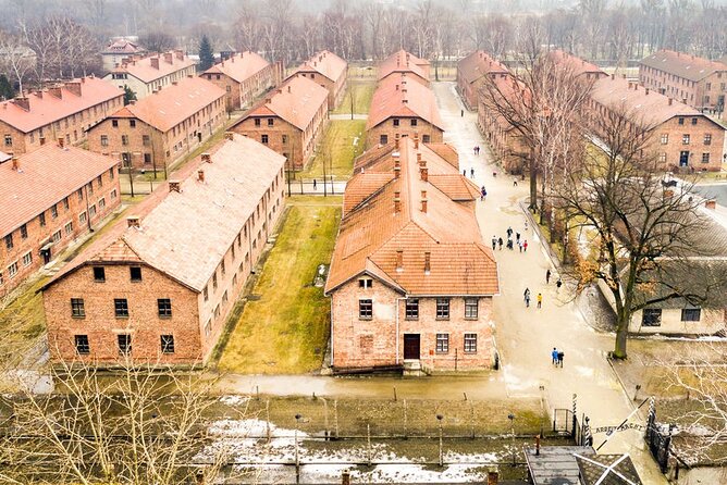 Auschwitz-Birkenau Tour Guide and Jewish museum and synagogue - Birkenau: why the space changes everything