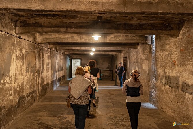 Auschwitz-Birkenau & Wieliczka Salt Mine – One Day Guided Trip - Wieliczka Salt Mine: the 64-meter descent and guided chambers below