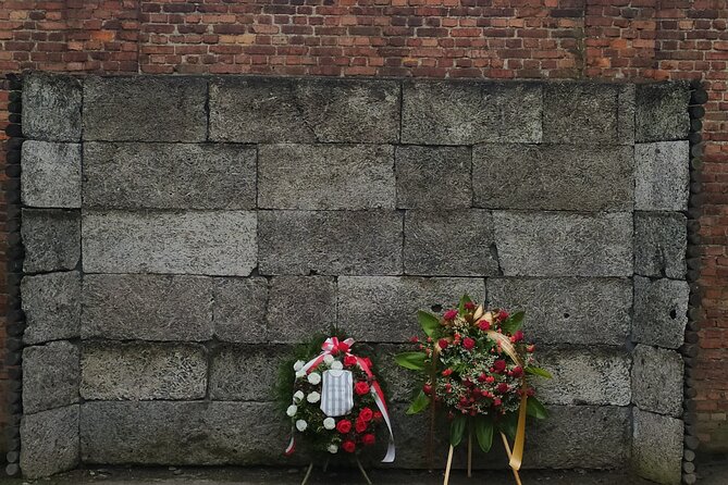 Auschwitz Museum and Salt Mine Tour with Private Transport - Who this tour suits best