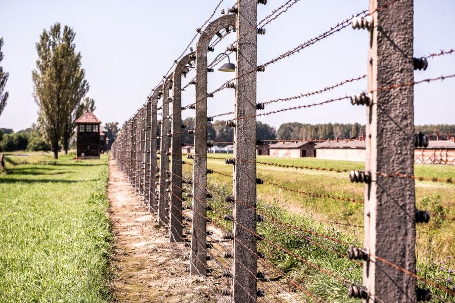 Auschwitz Ticket and Full-Day Tour from Krakow - Who this day trip suits best, and who might want a different plan