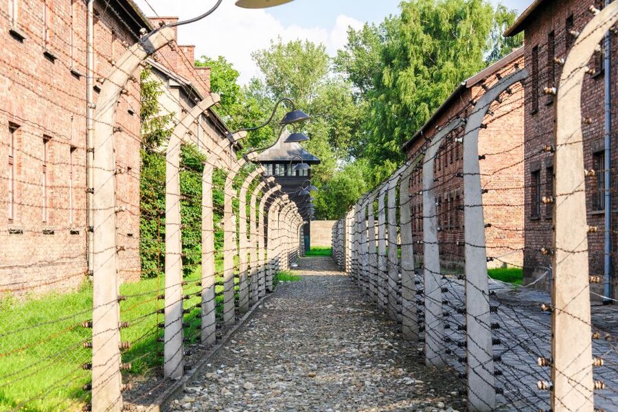 Auschwitz Ticket and Full-Day Tour from Krakow - Price and value: what $96 gets you beyond transportation