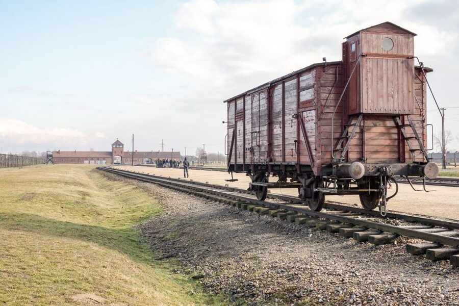 Auschwitz Ticket and Full-Day Tour from Krakow - The kind of guide you want, and how this tour delivers