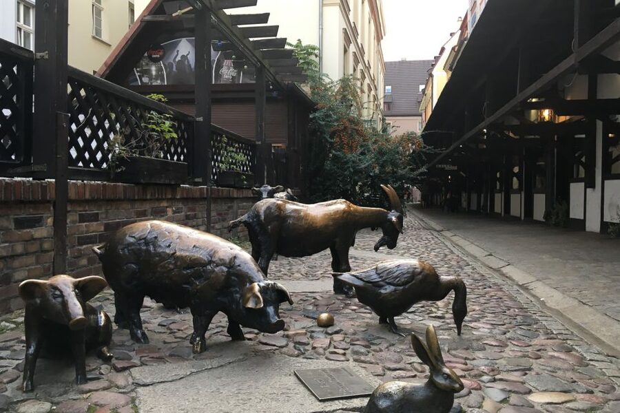 Best of Wroclaw 3-Hour History and Culture Walking Tour - Entering Wroclaw at Market Square, Rynek, and the City Hall mood