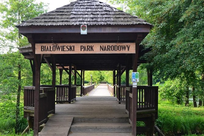 Bialowieza National Park Small Group Tour from Warsaw with Lunch included - Stop 1: Bialowieza Forest Strict Protection Reserve (3 hours)