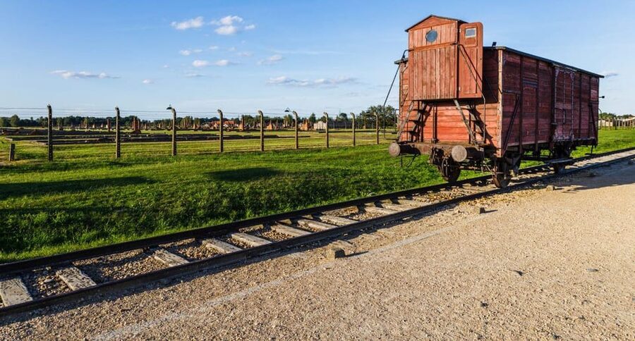 Budapest: Auschwitz Birkenau Private Day Tour - The 16-hour reality of a Budapest to Auschwitz day