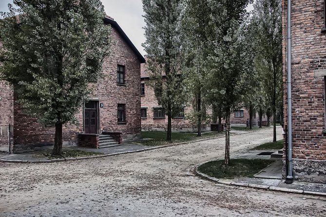 Combined tour Auschwitz Birkenau guided & Salt Mine guided from Krakow - Who This Tour Fits Best (and Who Should Reconsider)