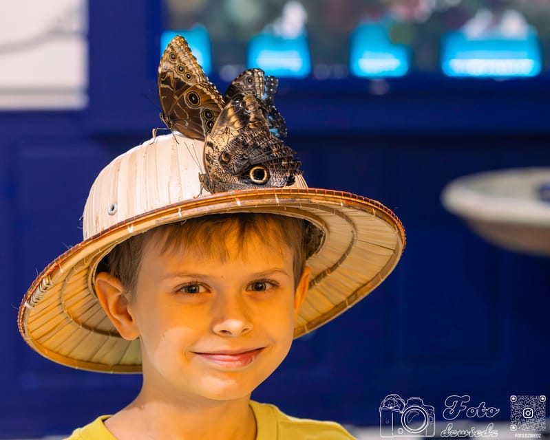 Cracow: 4 Mazes and Living Butterfly Museum Entry Ticket - House of Attractions in Krakow, A Good Weather-Proof Break